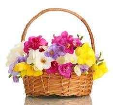 Foto de Canasta Grande con Fresias 